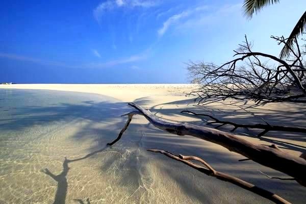 導(dǎo)航系統(tǒng)的全景解讀：發(fā)展政策、行業(yè)前景及主要公司分析