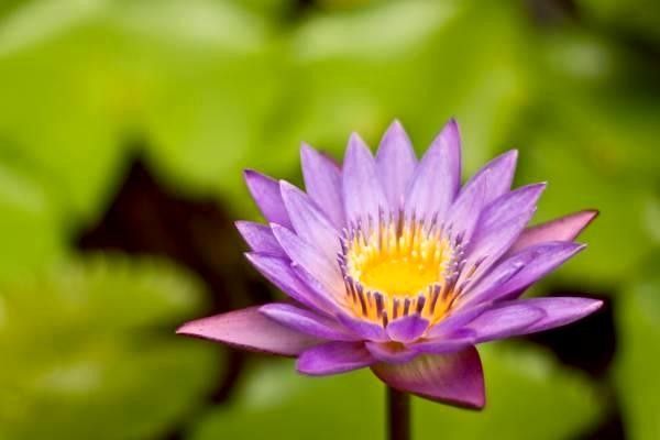 如何選擇導(dǎo)航系統(tǒng)：全面指南及排行榜分析