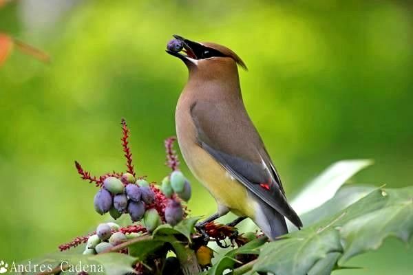 導(dǎo)航系統(tǒng)全解析：功能、國家、價(jià)格及市場(chǎng)趨勢(shì)