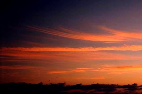 導(dǎo)航系統(tǒng)的全方位解析：價(jià)格、選擇、使用指南