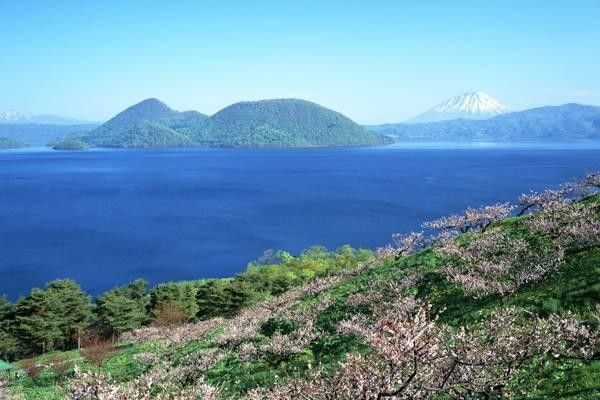 導(dǎo)航系統(tǒng)的全面解析：政策背景、價(jià)格及使用指南